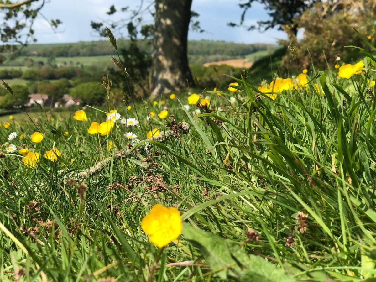Queen Bower Farm Lodge Alverstone  Esterno foto