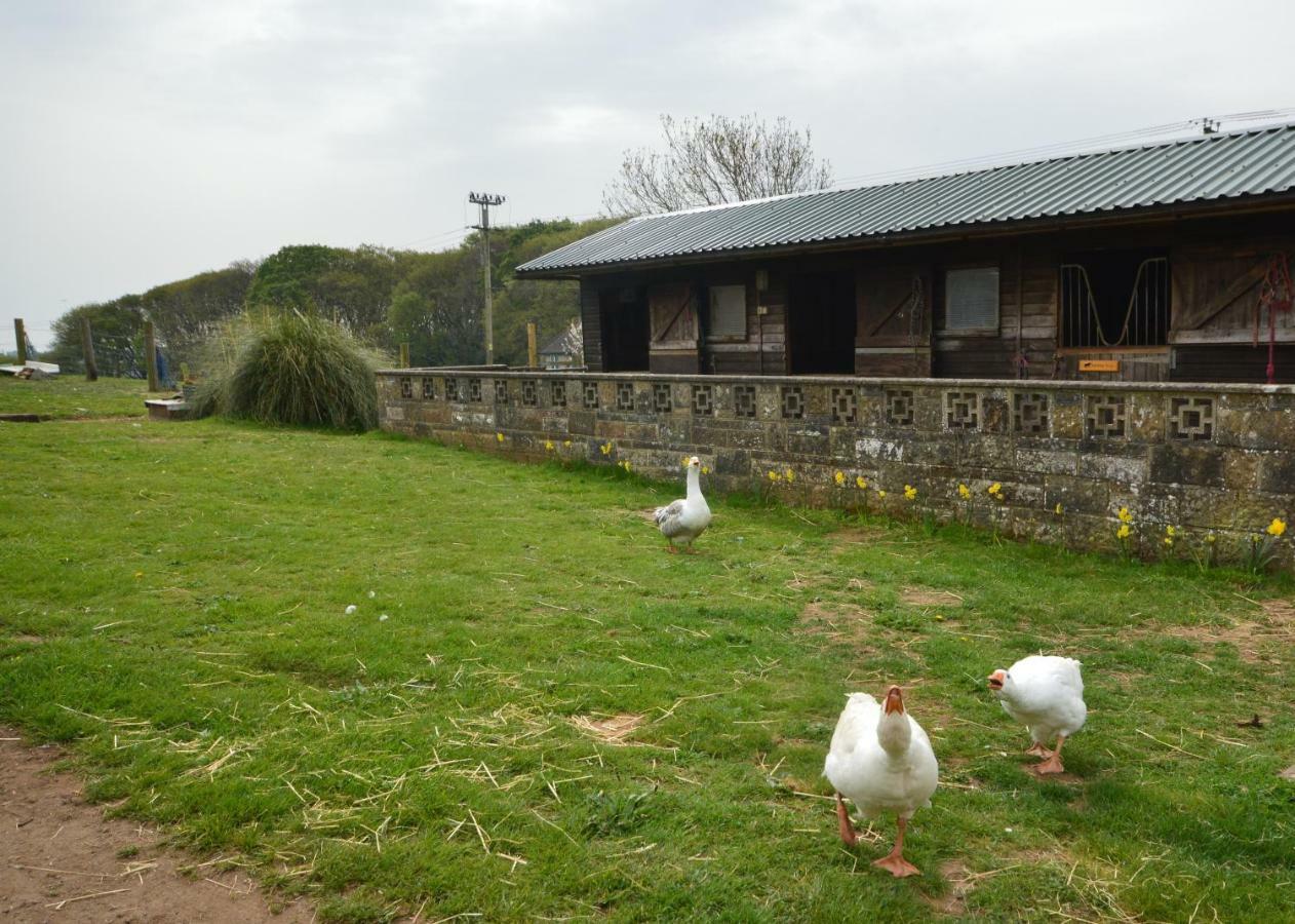 Queen Bower Farm Lodge Alverstone  Esterno foto