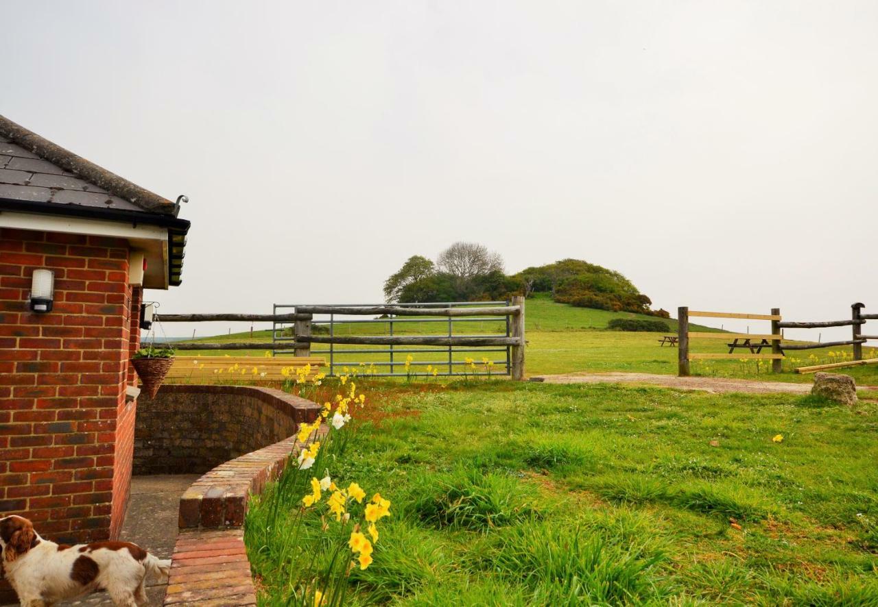Queen Bower Farm Lodge Alverstone  Esterno foto