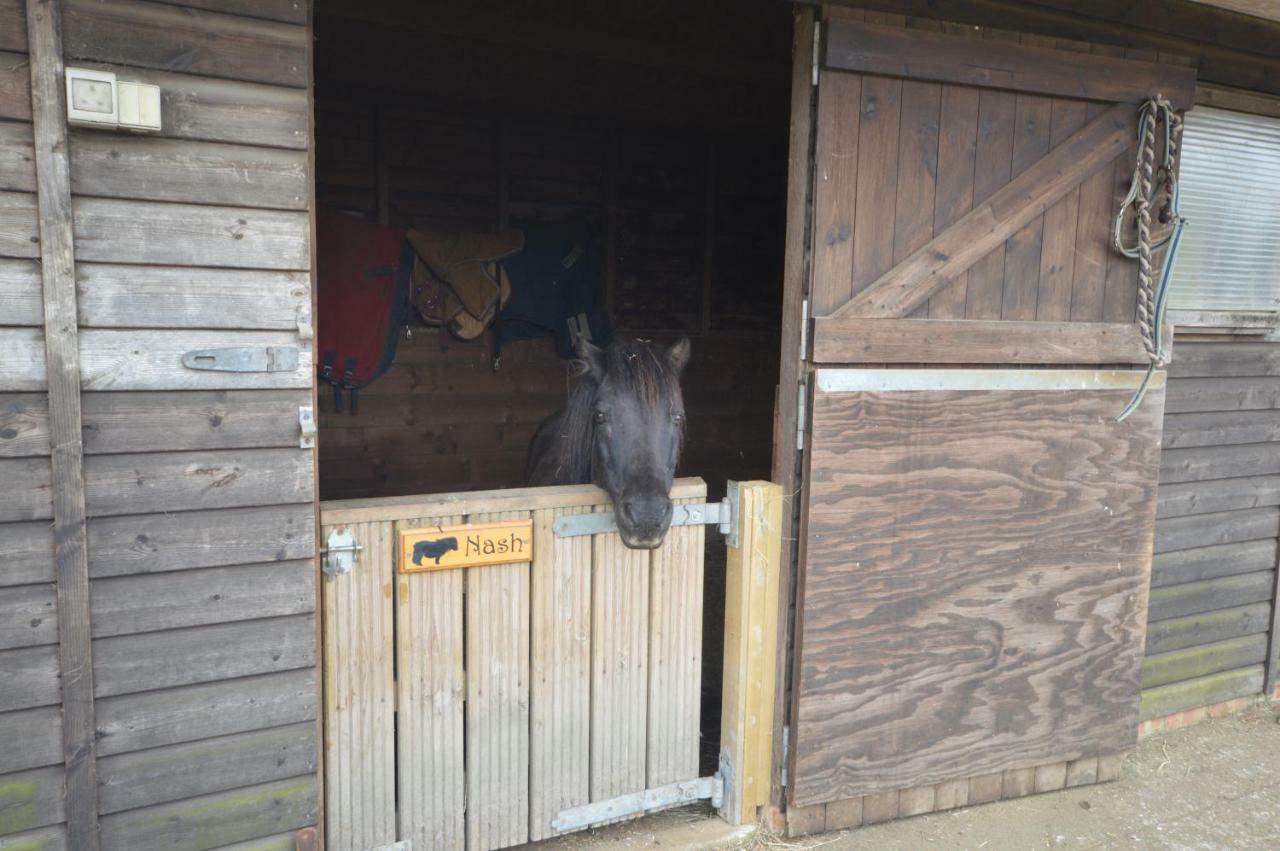 Queen Bower Farm Lodge Alverstone  Esterno foto