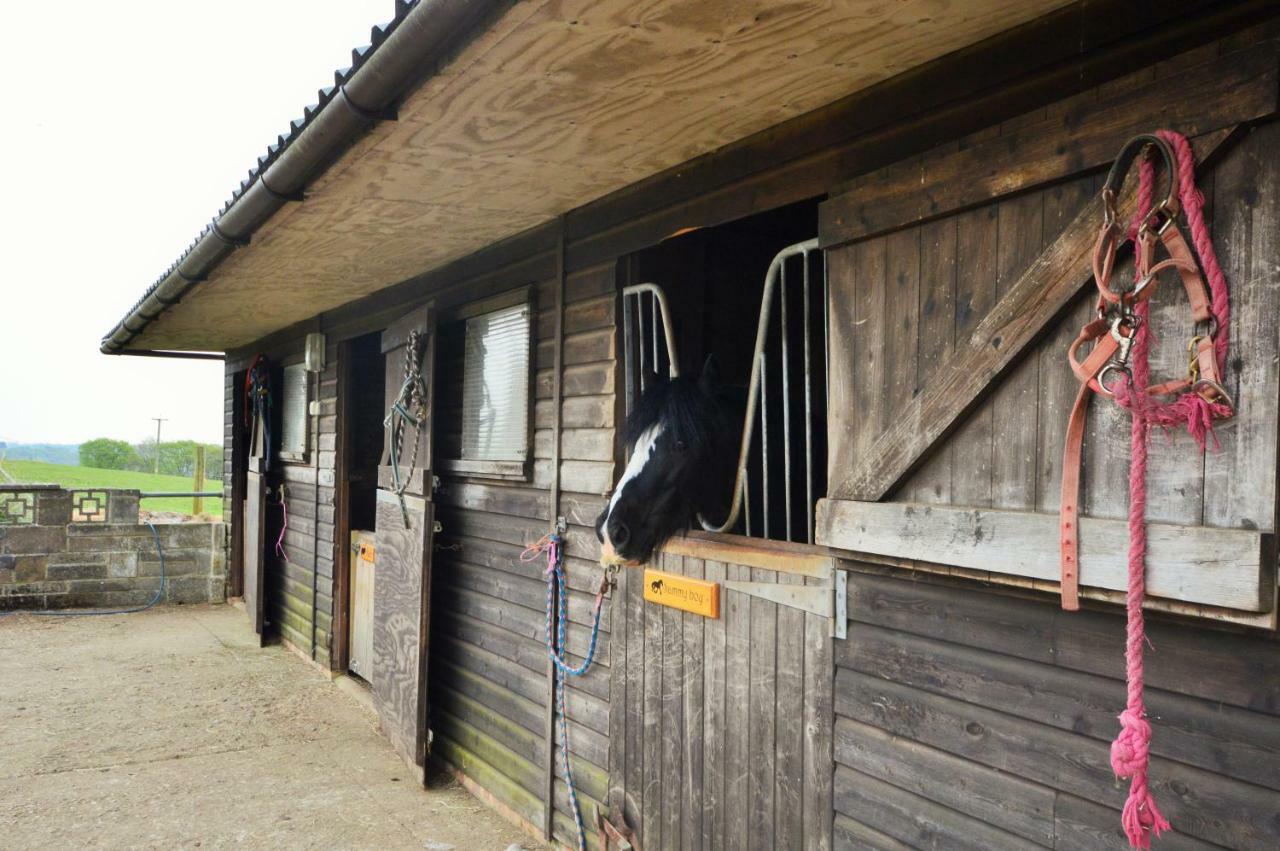 Queen Bower Farm Lodge Alverstone  Esterno foto