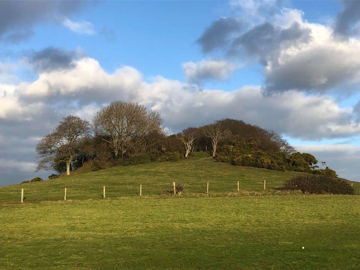 Queen Bower Farm Lodge Alverstone  Esterno foto
