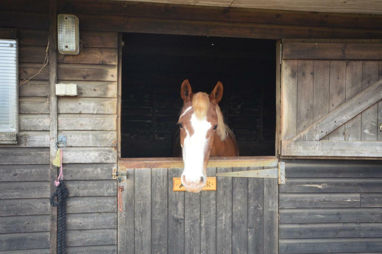 Queen Bower Farm Lodge Alverstone  Esterno foto